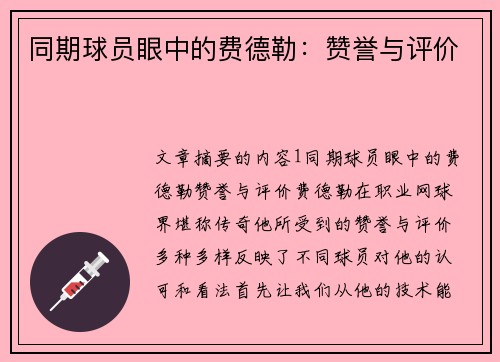 同期球员眼中的费德勒：赞誉与评价