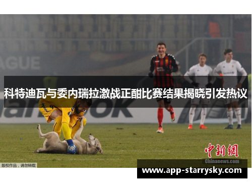 科特迪瓦与委内瑞拉激战正酣比赛结果揭晓引发热议